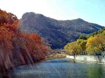 新澳天天开奖资料大全旅游团，带玉